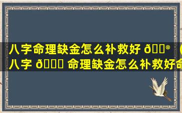 八字命理缺金怎么补救好 💮 （八字 🐛 命理缺金怎么补救好命）